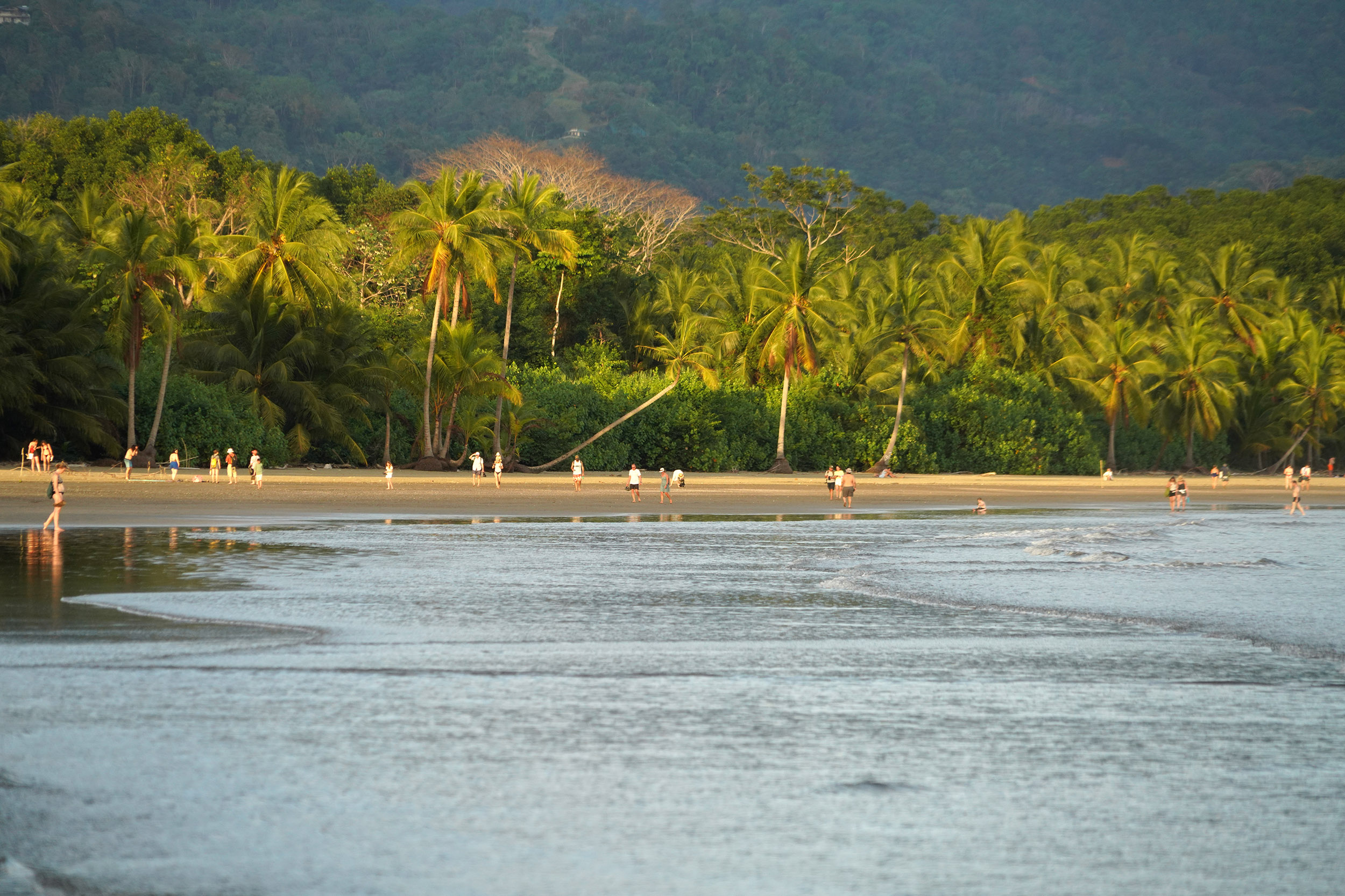 Costa Rica - Février 2025